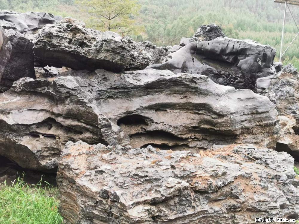 风景石、假山石大量有货，有需要的欢迎联系 - 新手上路 - 湛江生活社区 - 湛江28生活网 zhanjiang.28life.net