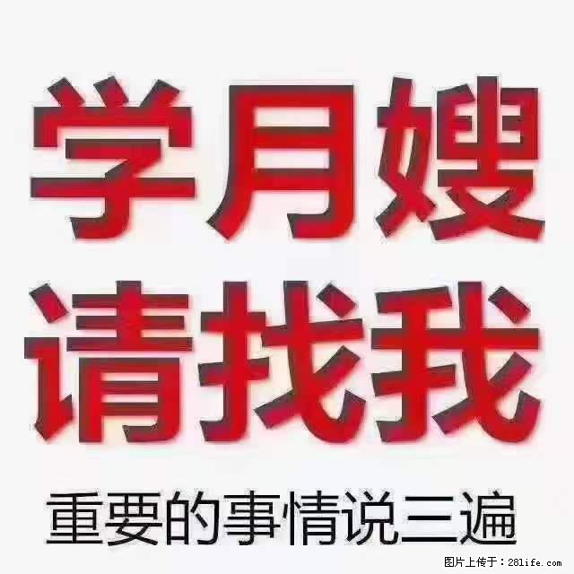 为什么要学习月嫂，育婴师？ - 其他广告 - 广告专区 - 湛江分类信息 - 湛江28生活网 zhanjiang.28life.net