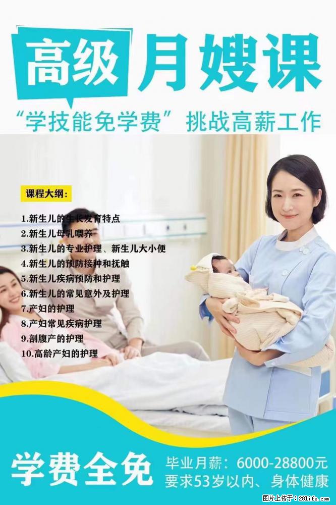 为什么要学习月嫂，育婴师？ - 其他广告 - 广告专区 - 湛江分类信息 - 湛江28生活网 zhanjiang.28life.net