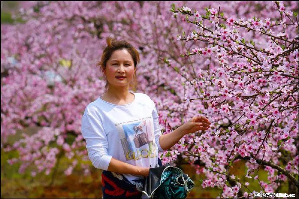 【春天，广西桂林灌阳县向您发出邀请！】官庄村有个醉美的桃花园 - 游山玩水 - 湛江生活社区 - 湛江28生活网 zhanjiang.28life.net