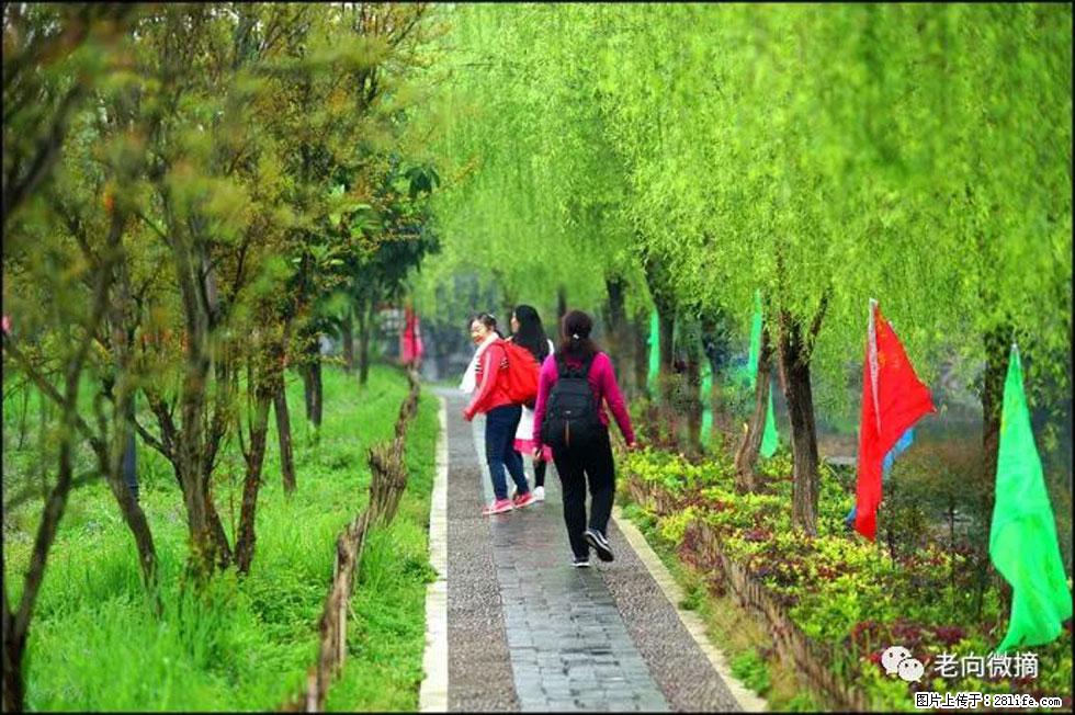 【春天，广西桂林灌阳县向您发出邀请！】江口老街又逢春 - 游山玩水 - 湛江生活社区 - 湛江28生活网 zhanjiang.28life.net