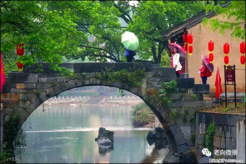 【春天，广西桂林灌阳县向您发出邀请！】江口老街又逢春 - 游山玩水 - 湛江生活社区 - 湛江28生活网 zhanjiang.28life.net