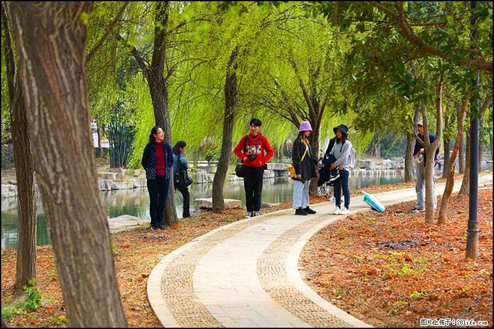 【春天，广西桂林灌阳县向您发出邀请！】江口老街又逢春 - 游山玩水 - 湛江生活社区 - 湛江28生活网 zhanjiang.28life.net