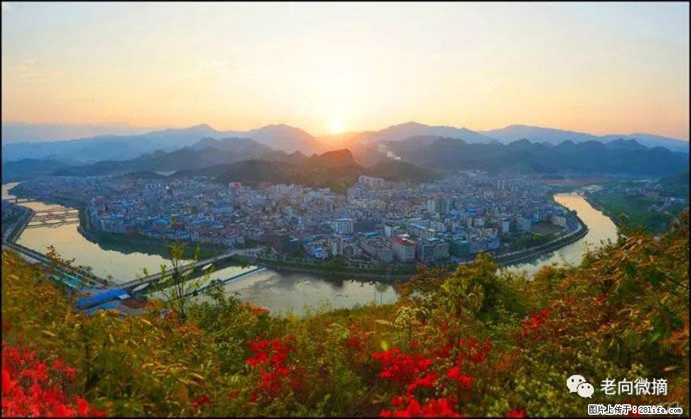 【春天，广西桂林灌阳县向您发出邀请！】登麒麟山，相约映山红 - 游山玩水 - 湛江生活社区 - 湛江28生活网 zhanjiang.28life.net