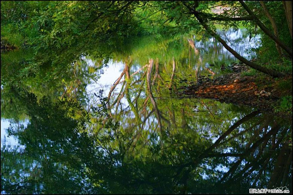 【春天，广西桂林灌阳县向您发出邀请！】熊家寨湿地公园 - 游山玩水 - 湛江生活社区 - 湛江28生活网 zhanjiang.28life.net