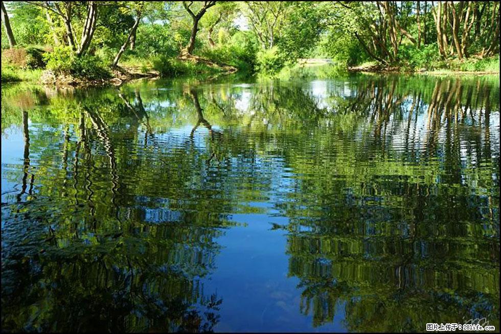 【春天，广西桂林灌阳县向您发出邀请！】熊家寨湿地公园 - 游山玩水 - 湛江生活社区 - 湛江28生活网 zhanjiang.28life.net