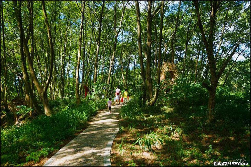 【春天，广西桂林灌阳县向您发出邀请！】熊家寨湿地公园 - 游山玩水 - 湛江生活社区 - 湛江28生活网 zhanjiang.28life.net