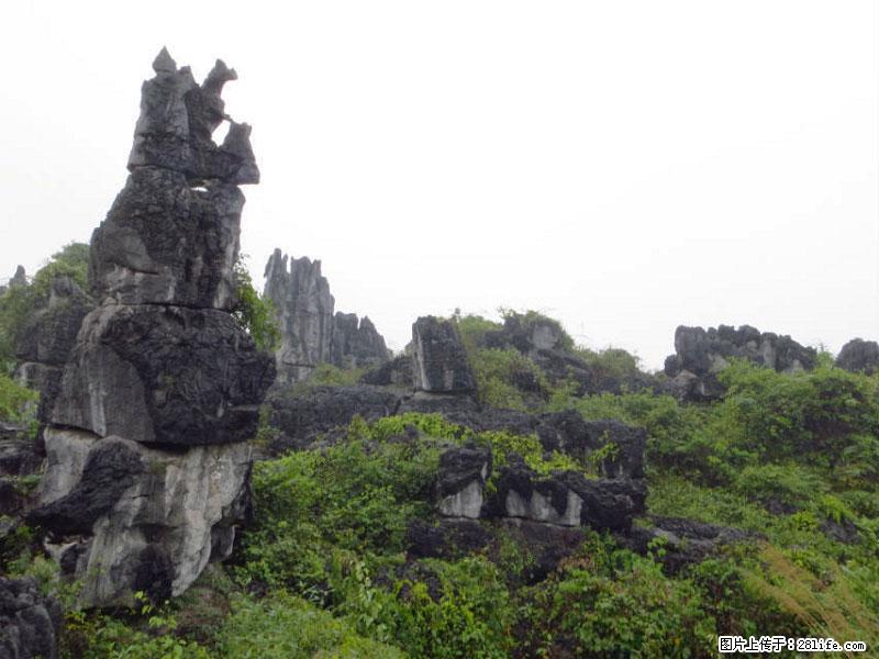 桂林旅游名城景点：灌阳文市石林 - 游山玩水 - 湛江生活社区 - 湛江28生活网 zhanjiang.28life.net