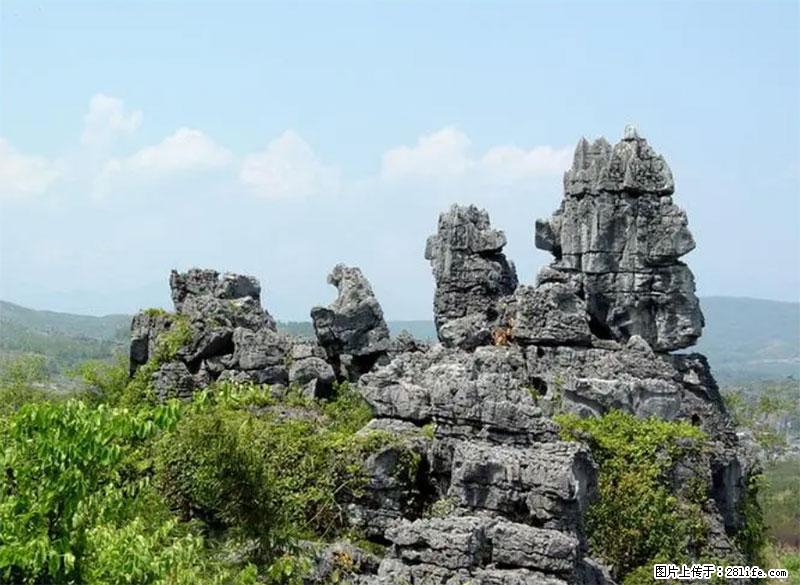 桂林旅游名城景点：灌阳文市石林 - 游山玩水 - 湛江生活社区 - 湛江28生活网 zhanjiang.28life.net