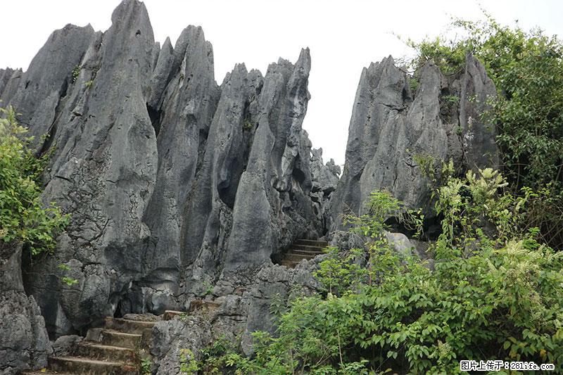 桂林旅游名城景点：灌阳文市石林 - 游山玩水 - 湛江生活社区 - 湛江28生活网 zhanjiang.28life.net