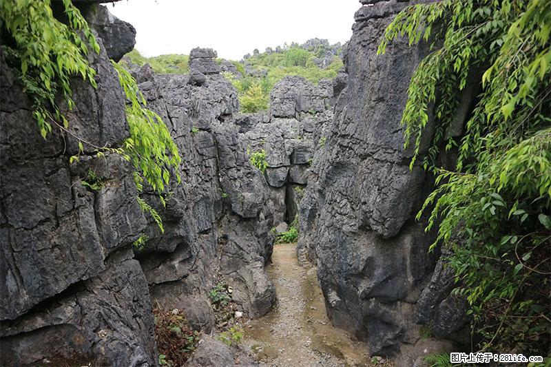 桂林旅游名城景点：灌阳文市石林 - 游山玩水 - 湛江生活社区 - 湛江28生活网 zhanjiang.28life.net