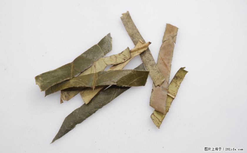苦丁茶有哪些功效和作用 - 生活百科 - 湛江生活社区 - 湛江28生活网 zhanjiang.28life.net