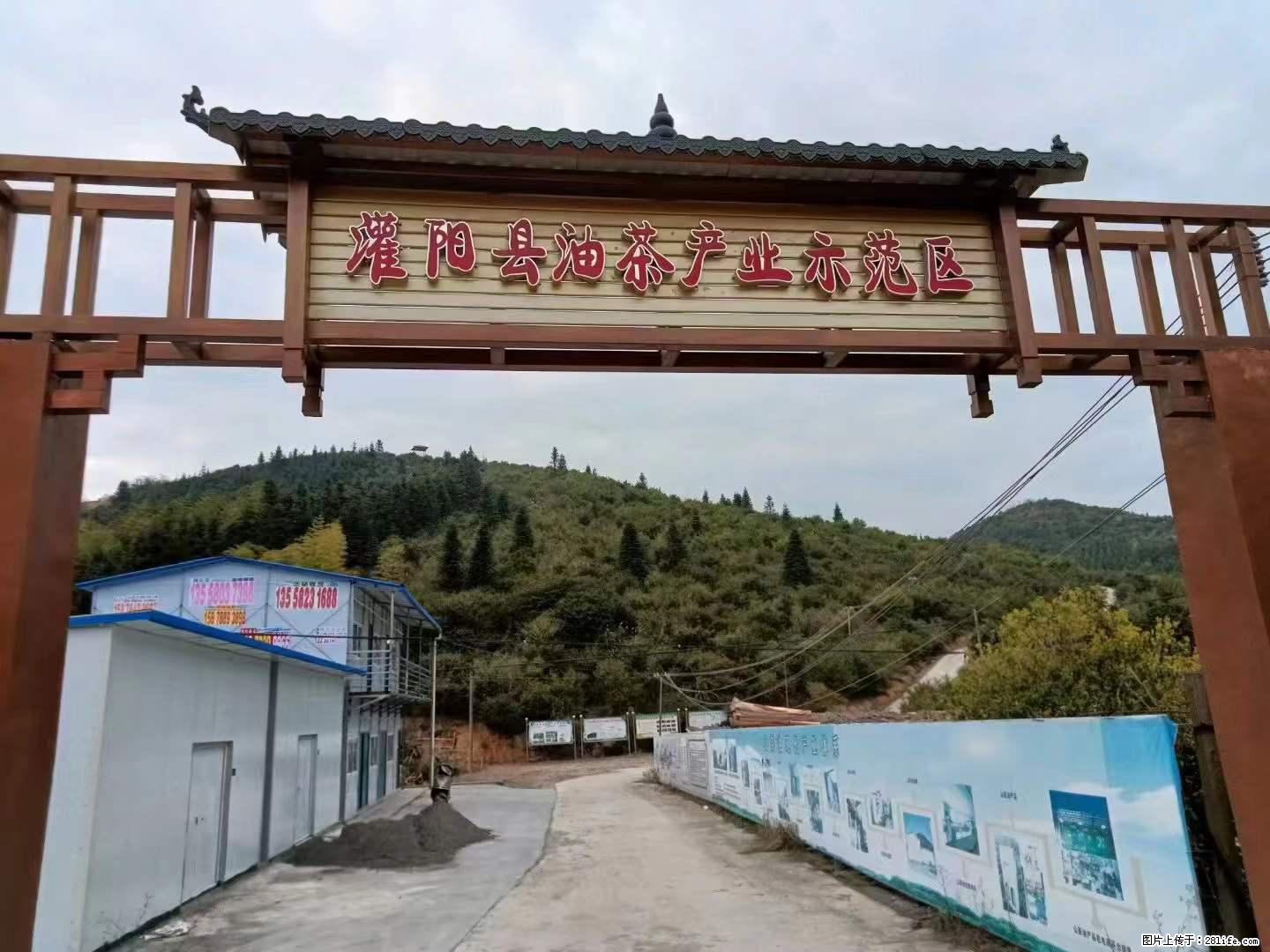 【灌阳县油茶产业示范区】一个有着充实的精神生活的人，对待身外之物自会有一种淡泊的态度 - 美食天地 - 湛江生活社区 - 湛江28生活网 zhanjiang.28life.net