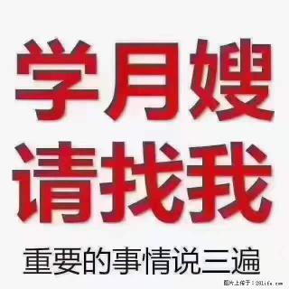 为什么要学习月嫂，育婴师？ - 湛江28生活网 zhanjiang.28life.net