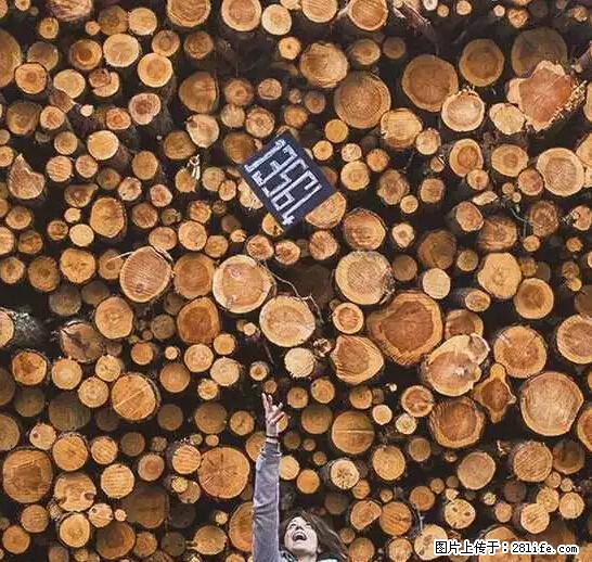 辞掉工作周游世界？现在他们在洗厕所…… - 游山玩水 - 湛江生活社区 - 湛江28生活网 zhanjiang.28life.net