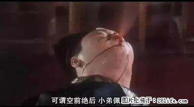 笑癫了！一女的怀孕三年未生，他终于忍不住了... - 娱乐八卦 - 湛江生活社区 - 湛江28生活网 zhanjiang.28life.net