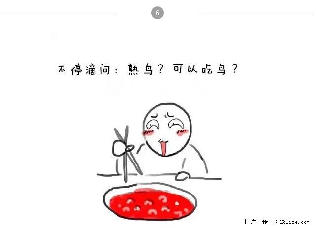 千万不要和这9种哈卵一起吃火锅！ - 美食天地 - 湛江生活社区 - 湛江28生活网 zhanjiang.28life.net