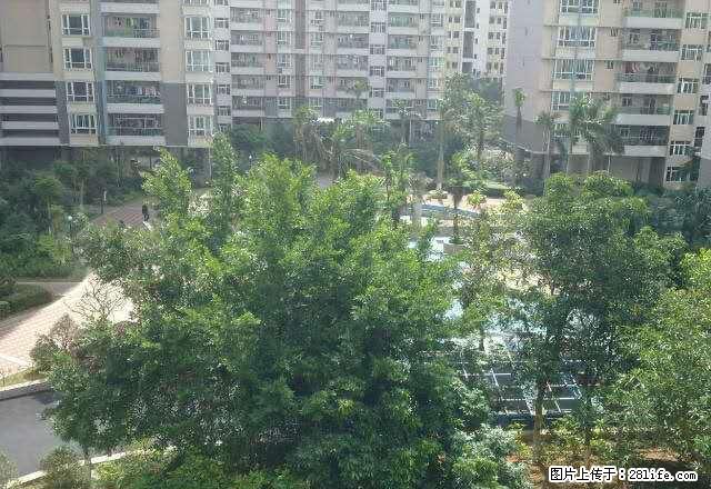 (单间出租)明景花园 尊贵纯住高尚社区精装4房 花园小区 - 房屋出租 - 房屋租售 - 湛江分类信息 - 湛江28生活网 zhanjiang.28life.net