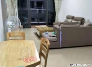 好房锦绣华景九克拉 豪华装修2房 急租 2800元 拎包入住 - 湛江28生活网 zhanjiang.28life.net
