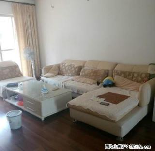颐和花园 3房2厅1卫2阳 精致装修 采光好 交通便利 - 湛江28生活网 zhanjiang.28life.net