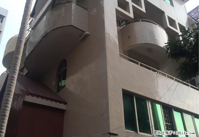 喜来登酒店旁整栋别墅出租 豪华装修大面积 五层只需14500 - 房屋出租 - 房屋租售 - 湛江分类信息 - 湛江28生活网 zhanjiang.28life.net