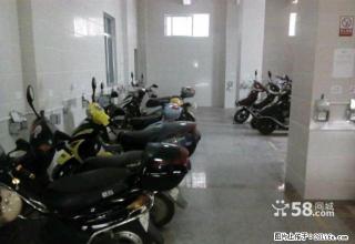 （个人）霞山霞山鼎盛广场附近自家公寓出租 - 湛江28生活网 zhanjiang.28life.net