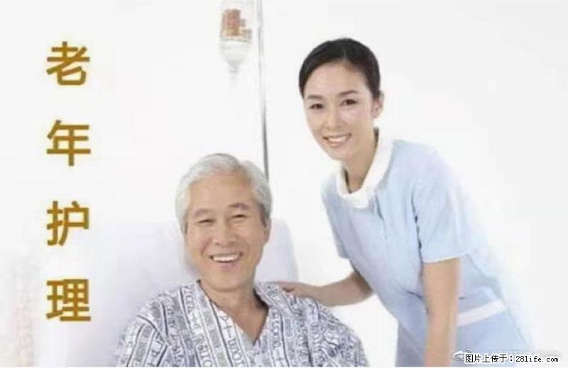 上海国企养老院，星级酒店环境，招聘养老护工 - 职场交流 - 湛江生活社区 - 湛江28生活网 zhanjiang.28life.net