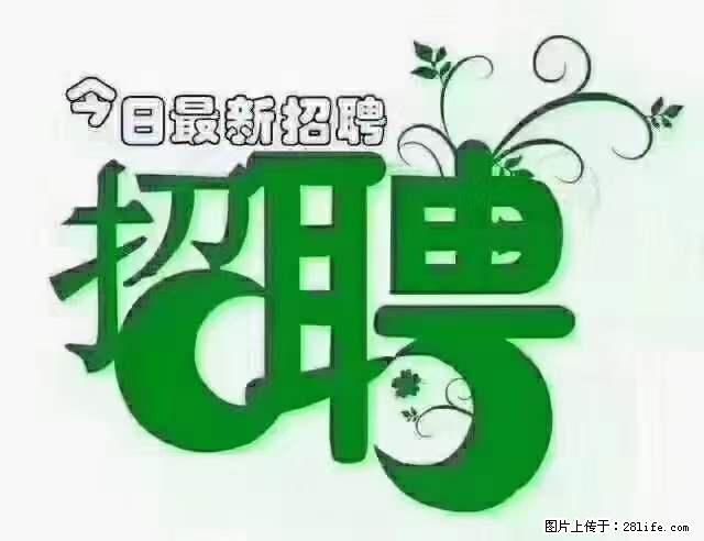 【招聘摄像师】待遇：试用期6000元/月，转正7000元/月+五险一金+餐补+节日福利+奖金 - 职场交流 - 湛江生活社区 - 湛江28生活网 zhanjiang.28life.net