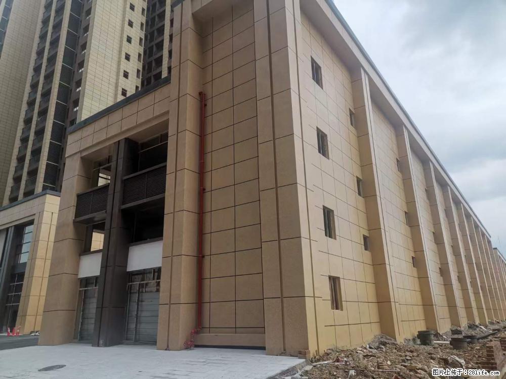 【广西三象建筑安装工程有限公司】外墙涂料工程 - 新手上路 - 湛江生活社区 - 湛江28生活网 zhanjiang.28life.net