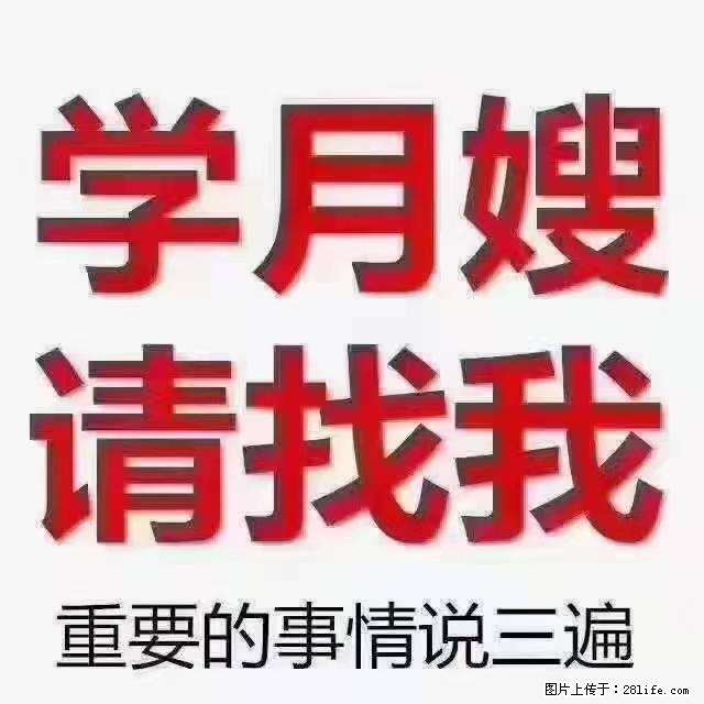【招聘】月嫂，上海徐汇区 - 职场交流 - 湛江生活社区 - 湛江28生活网 zhanjiang.28life.net