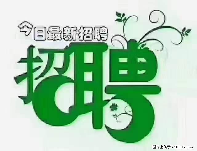 上海隔离酒店招人：55岁以下 男女不限 - 职场交流 - 湛江生活社区 - 湛江28生活网 zhanjiang.28life.net
