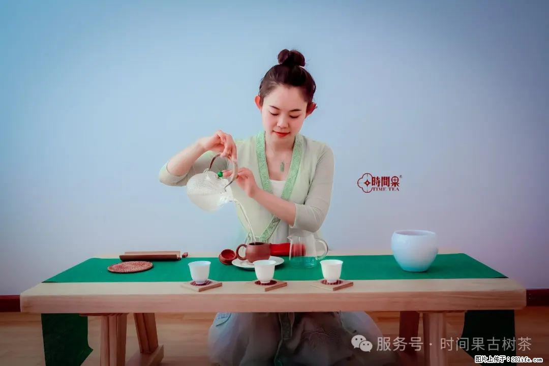 时间果百年古树龙珠普洱生茶 - 购物交流 - 湛江生活社区 - 湛江28生活网 zhanjiang.28life.net