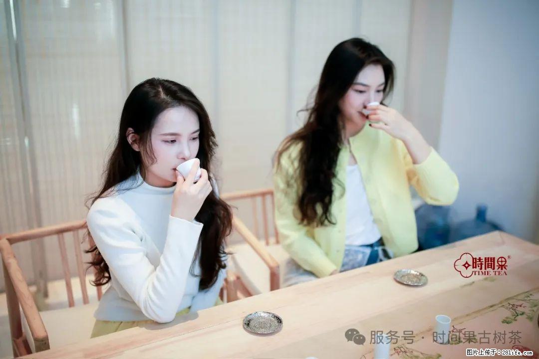 时间果百年古树龙珠普洱生茶 - 购物交流 - 湛江生活社区 - 湛江28生活网 zhanjiang.28life.net