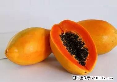 晕车、脚气、牙齿变黄、皮肤粗糙？学会这些三分钟搞定！ - 湛江生活资讯 - 湛江28生活网 zhanjiang.28life.net
