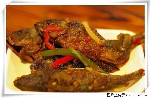 来广西旅游必吃这20道桂菜，不然就白来广西啦！ - 湛江生活资讯 - 湛江28生活网 zhanjiang.28life.net