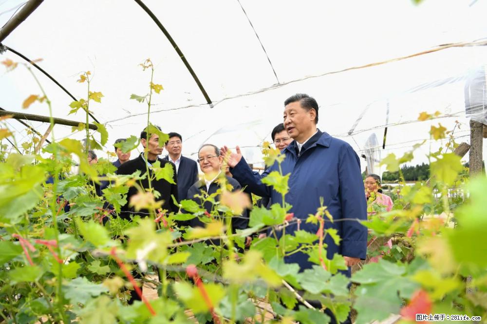 习近平赴广西考察调研 - 湛江生活资讯 - 湛江28生活网 zhanjiang.28life.net