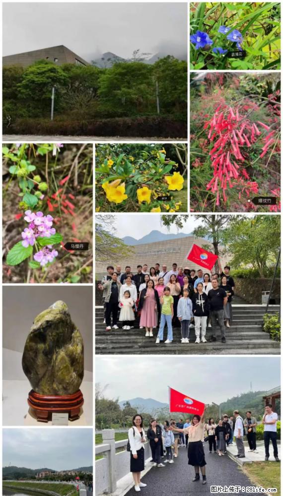 “粤灌文化 美好生活”油茶文化主题活动在广东深圳成功举办 - 湛江生活资讯 - 湛江28生活网 zhanjiang.28life.net