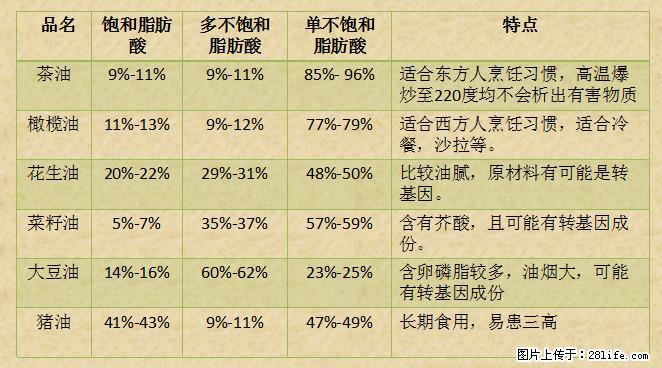 揭秘茶油的5大核心营养成分！被称为人体健康的“守护盾”！ - 湛江生活资讯 - 湛江28生活网 zhanjiang.28life.net