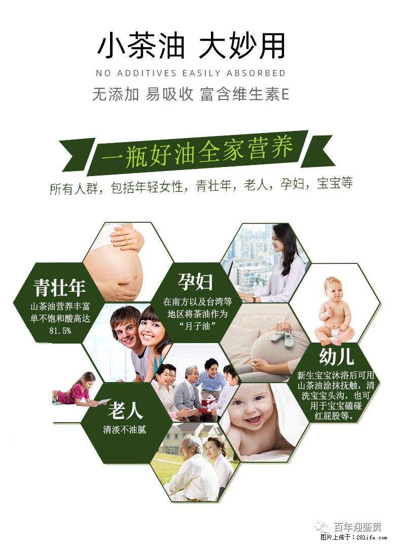 世界没有真相，只有认知，最好的食用油是中国的山茶油！ - 湛江生活资讯 - 湛江28生活网 zhanjiang.28life.net