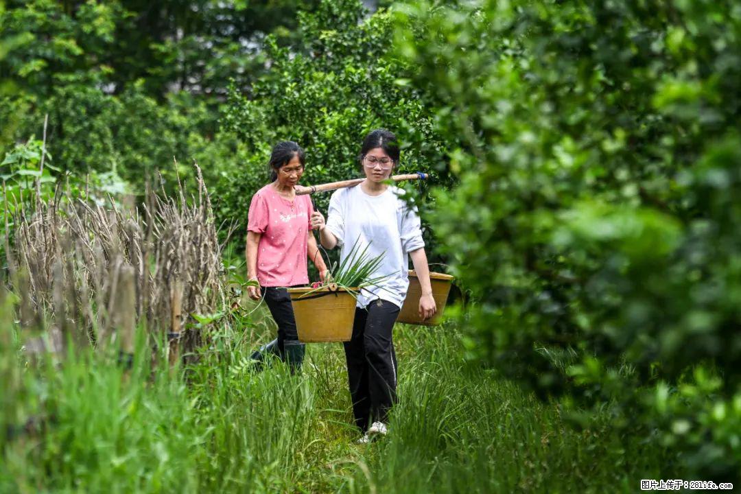 全网追的“扁担女孩”，找了一份暑假工，时薪12元 - 湛江生活资讯 - 湛江28生活网 zhanjiang.28life.net