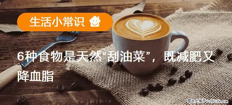 【生活小常识】6种食物是天然“刮油菜”,既减肥又降血脂 - 湛江生活资讯 - 湛江28生活网 zhanjiang.28life.net
