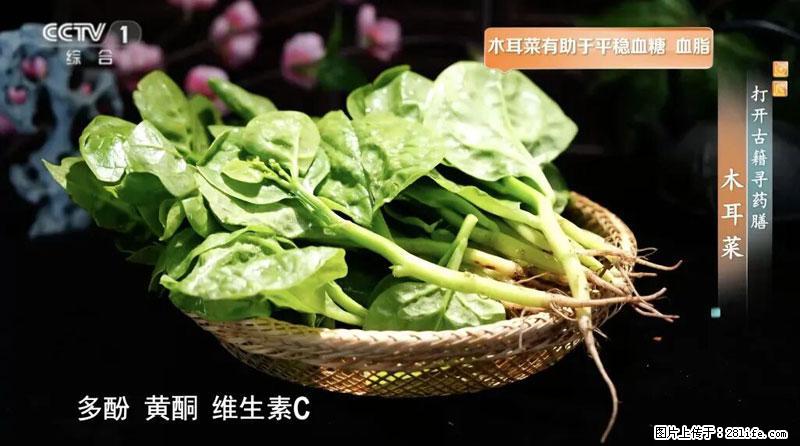 比牛奶补钙还厉害！凉血解毒、稳血糖...这菜冬天必吃，很多人却当草 - 湛江生活资讯 - 湛江28生活网 zhanjiang.28life.net