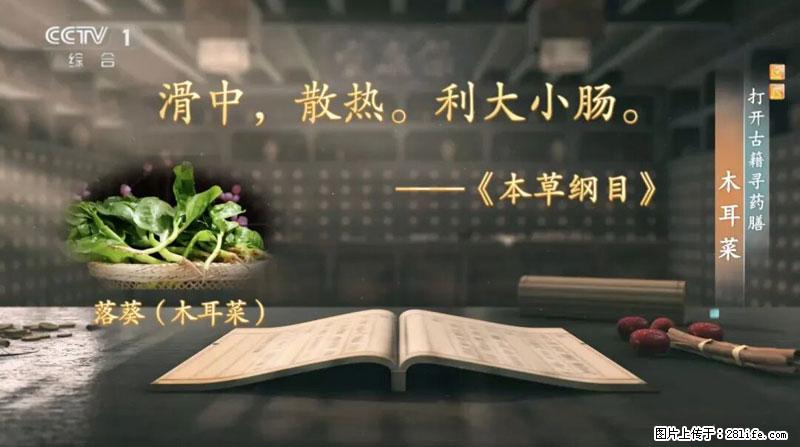 比牛奶补钙还厉害！凉血解毒、稳血糖...这菜冬天必吃，很多人却当草 - 湛江生活资讯 - 湛江28生活网 zhanjiang.28life.net