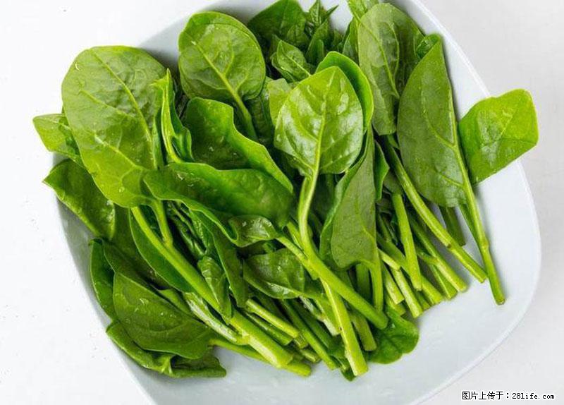 这些蔬菜是“天然钙片”，这6种被医生重点推荐 - 湛江生活资讯 - 湛江28生活网 zhanjiang.28life.net