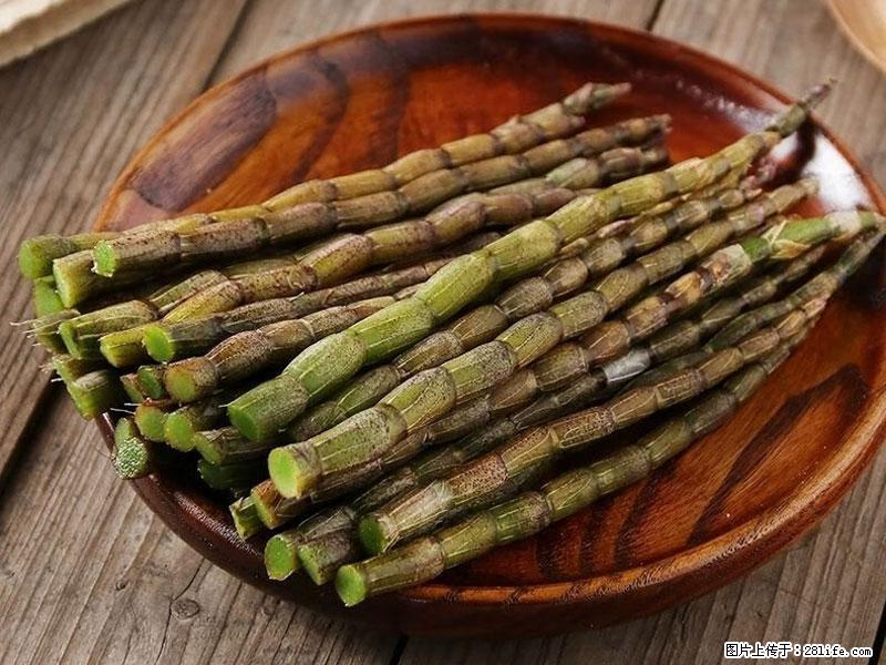 铁皮石斛的作用与功能主治 - 湛江生活资讯 - 湛江28生活网 zhanjiang.28life.net