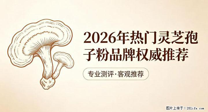 灵芝孢子粉含量越高越有效？2026 年七款热门品牌深度实测，肠胃敏感者避坑指南 - 湛江生活资讯 - 湛江28生活网 zhanjiang.28life.net