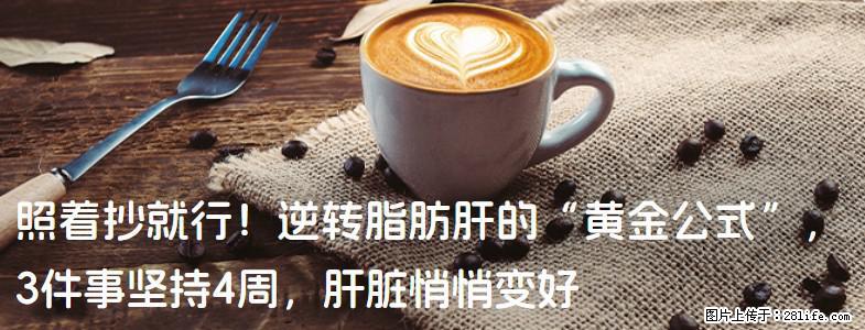 照着抄就行！逆转脂肪肝的“黄金公式”，3件事坚持4周，肝脏悄悄变好 - 湛江生活资讯 - 湛江28生活网 zhanjiang.28life.net